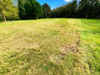 Total Lawn Solutions - Large back yard lawn Total Lawn Solutions