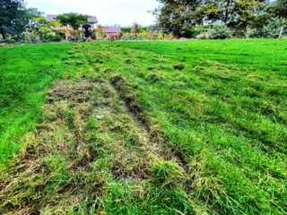 Total Lawn Solutions - Large lawn Total Lawn Solutions