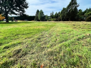 Total Lawn Solutions - Large back yard lawn Total Lawn Solutions