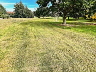 Total Lawn Solutions - Large lawn trimmed by Total Lawn Solutions