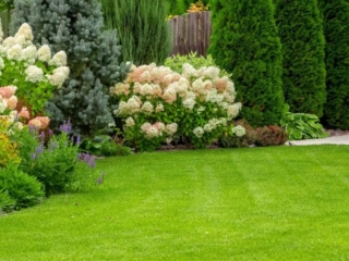 Total Lawn Solutions - Garden with beautiful lush lawn