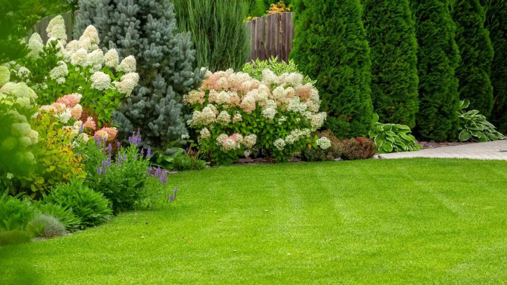 Total Lawn Solutions - Garden with beautiful lush lawn