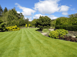 Total Lawn Solutions - Gardens with well maintained Lawn Total Lawn Solutions