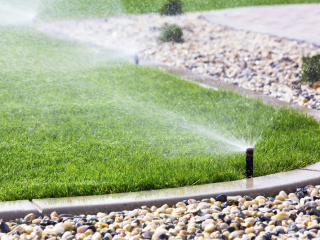 Total Lawn Solutions - Sprinkler on Lawn Total Lawn Solutions