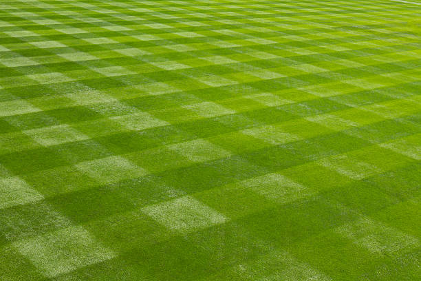 Total Lawn Solutions - Lawn mowed in checkerboard Total Lawn Solutions