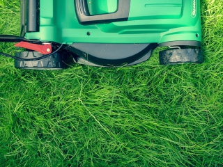 Total Lawn Solutions - Lawn mower and grass
